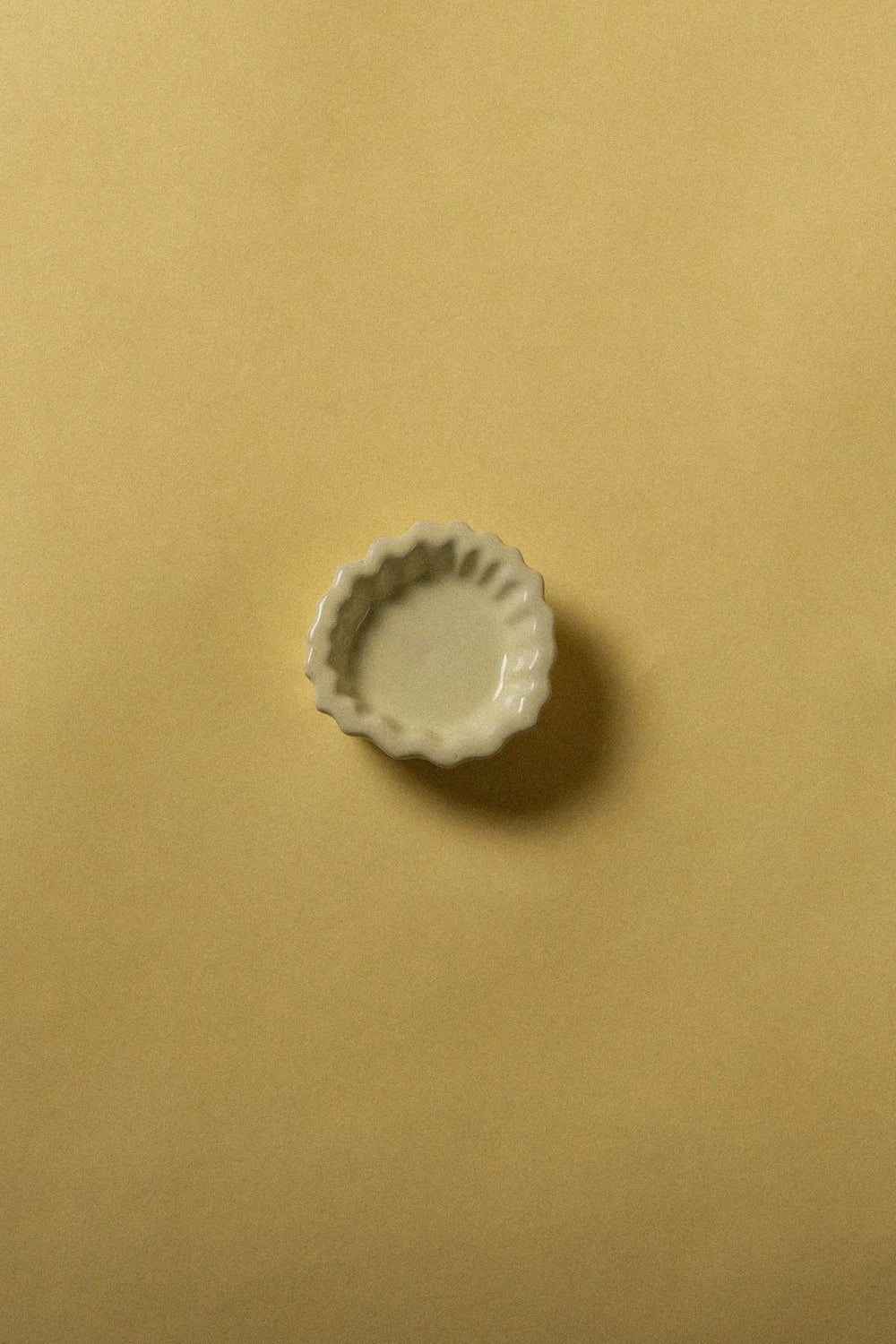 The Coral Fossil Wall Hook - Lime