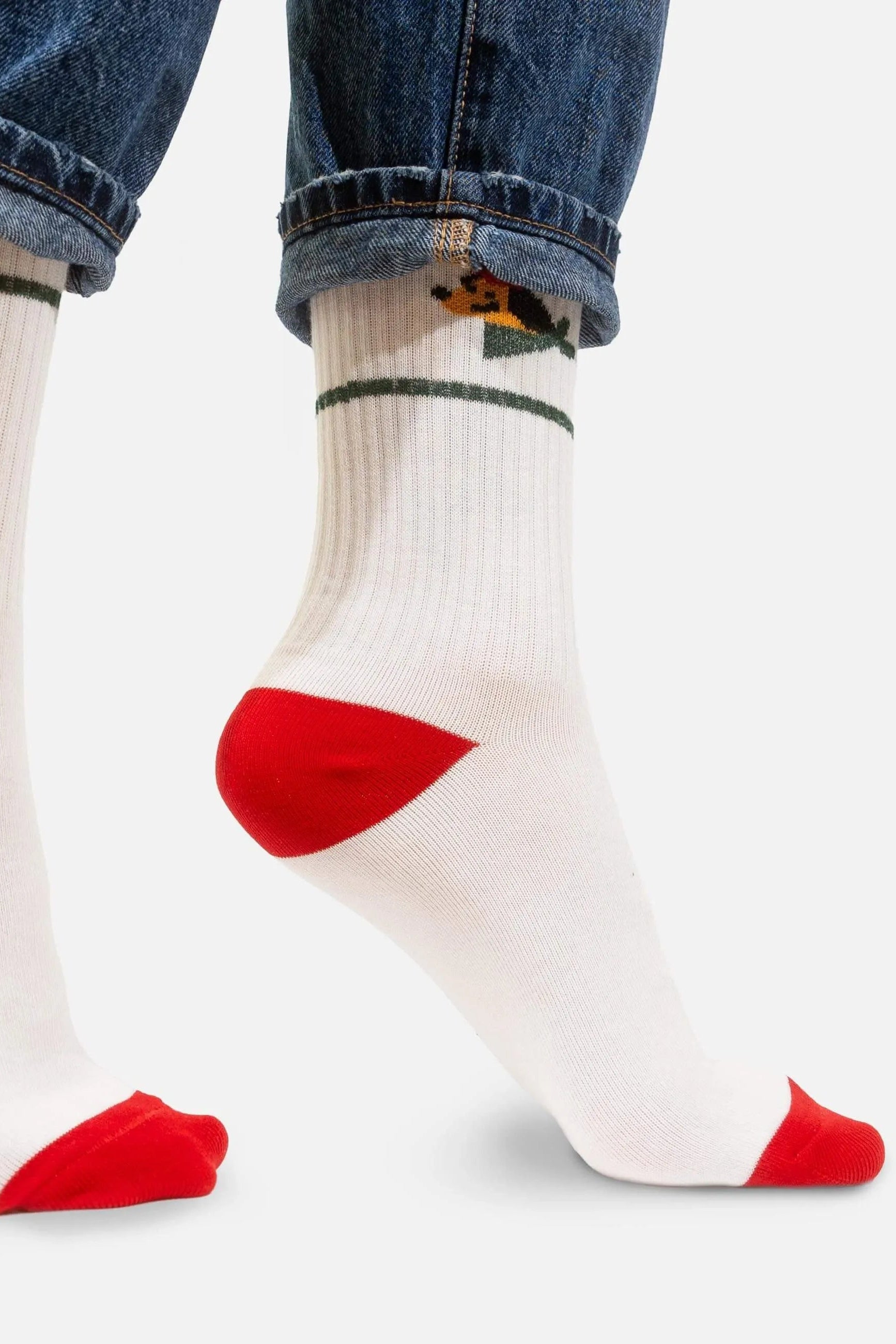 Dog Socks - Multi